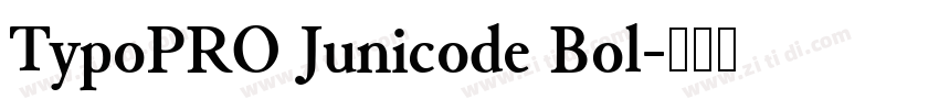 TypoPRO Junicode Bol字体转换